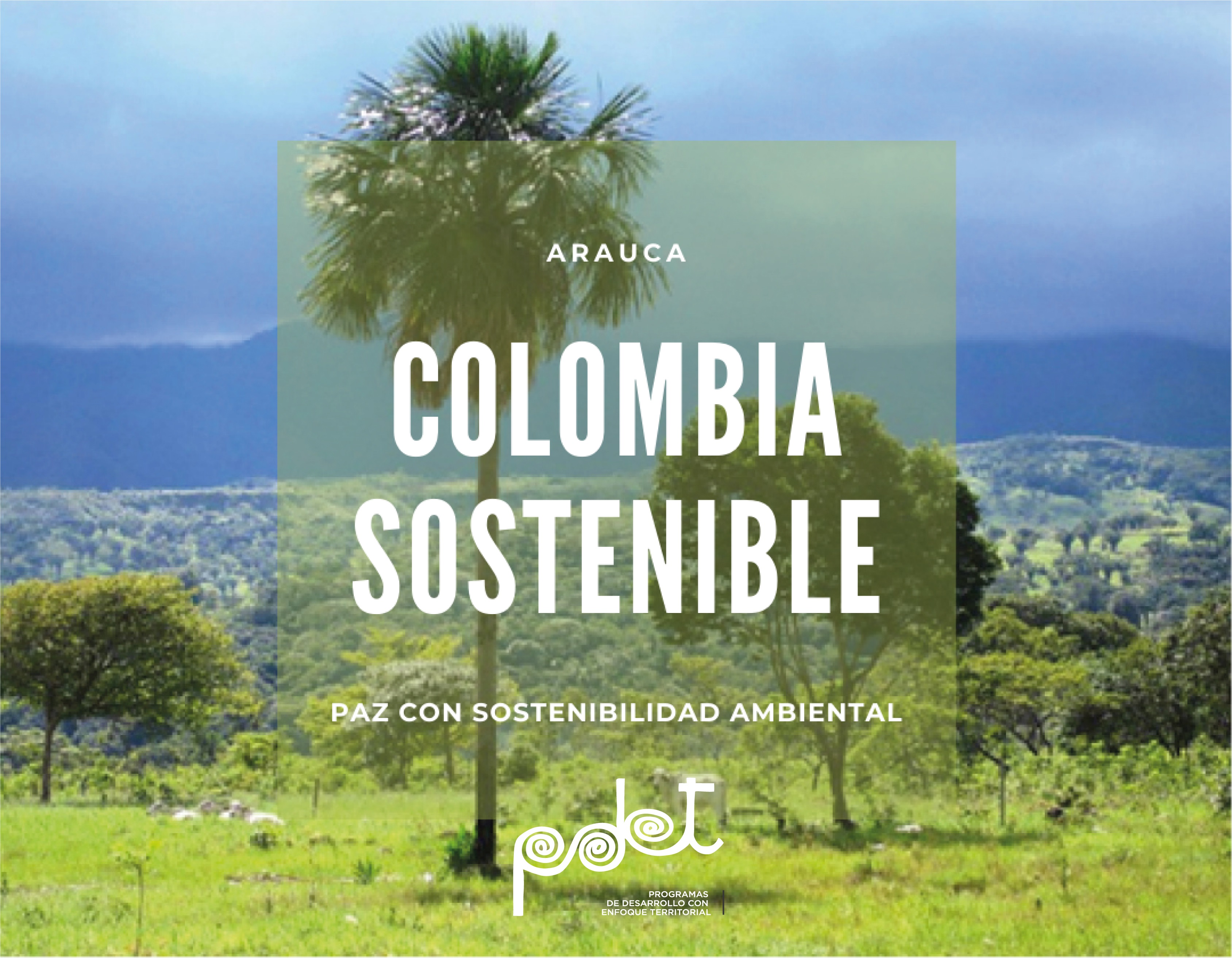 Financiaremos la recuperación y conservación de bosques en Tame, Arauca