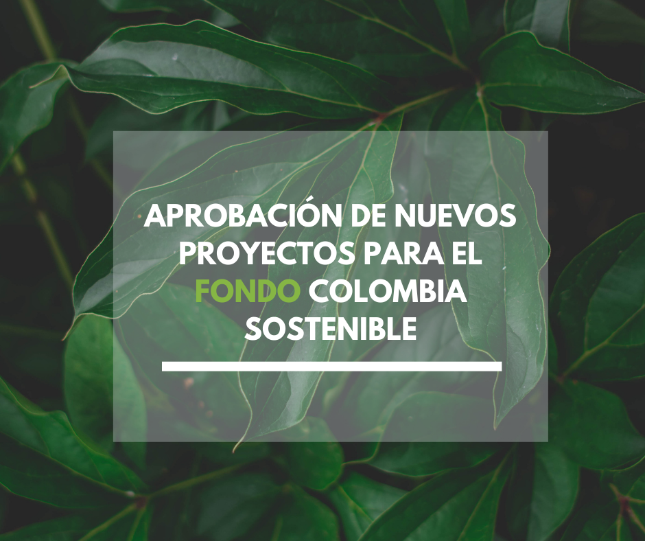 Proyectos FCS 2022 Proyectos FCS 2022