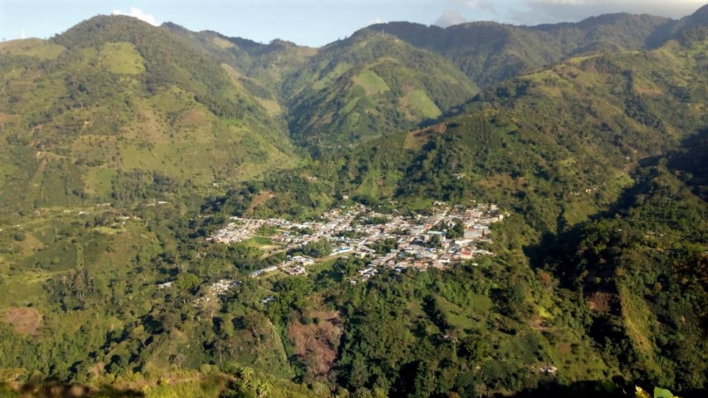 De sufrir la violencia a producir café especial: así construyen paz con enfoque ambiental en el sur del Tolima