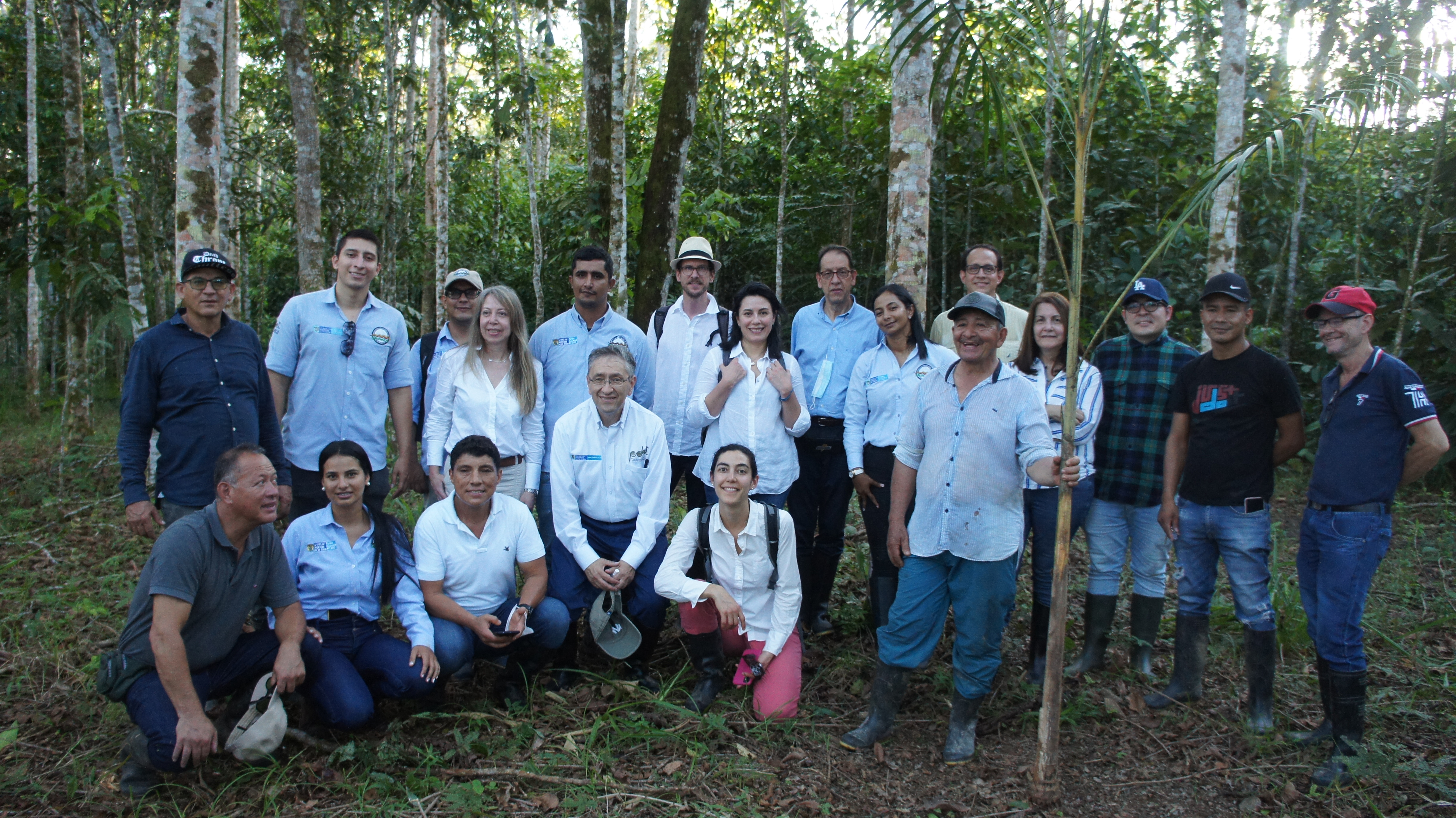 Açaí, una apuesta productiva y sostenible en Putumayo