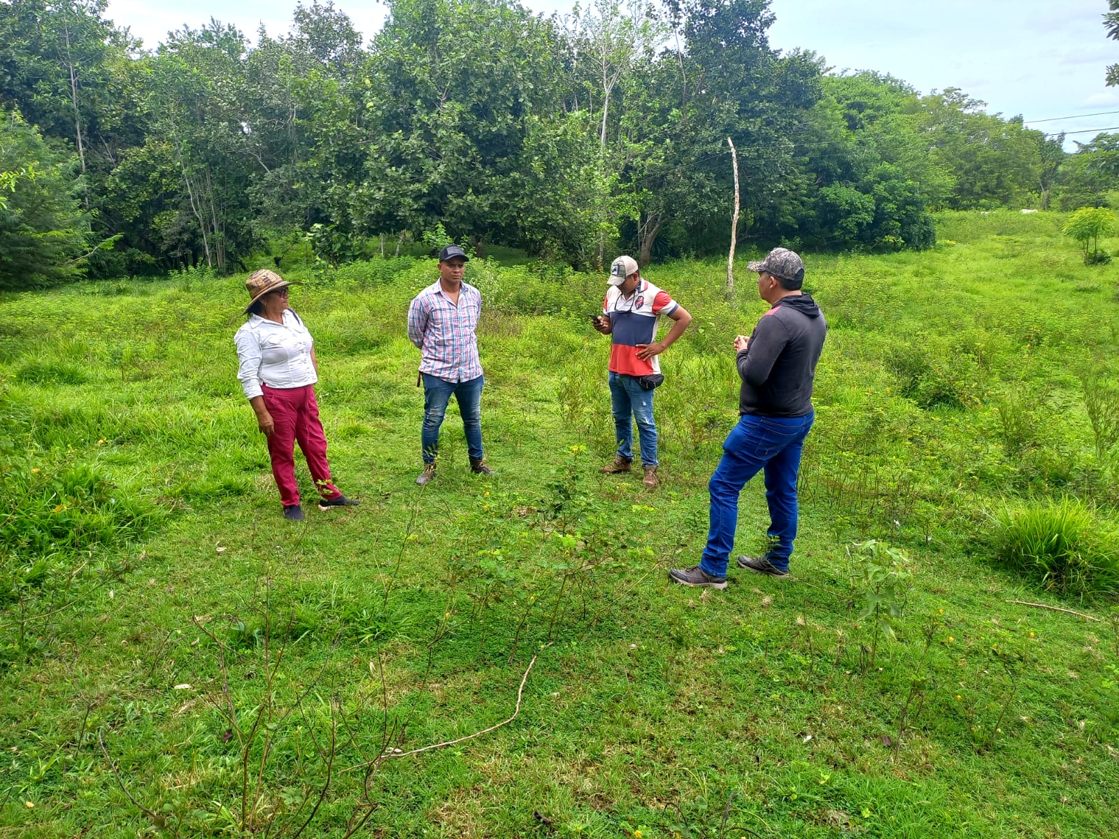 Indígenas Zenú implementan esquema de Pagos por Servicios Ambientales y restauran los bosques en los Montes de María