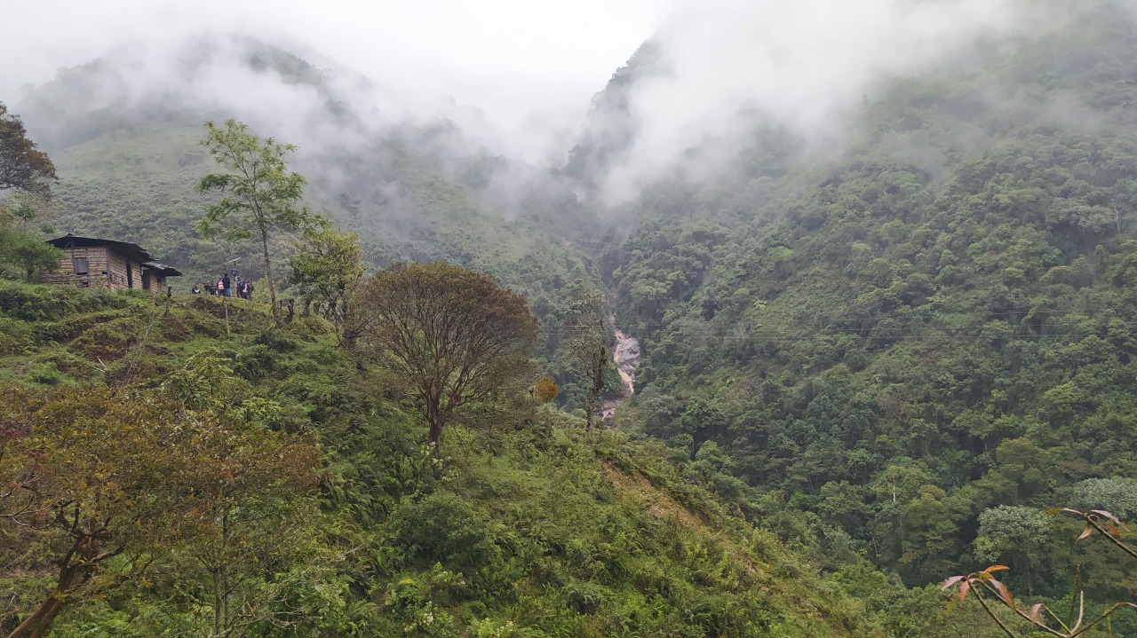 Indígenas Nasa deciden ser los guardianes del Bosque Andino en el Cauca
