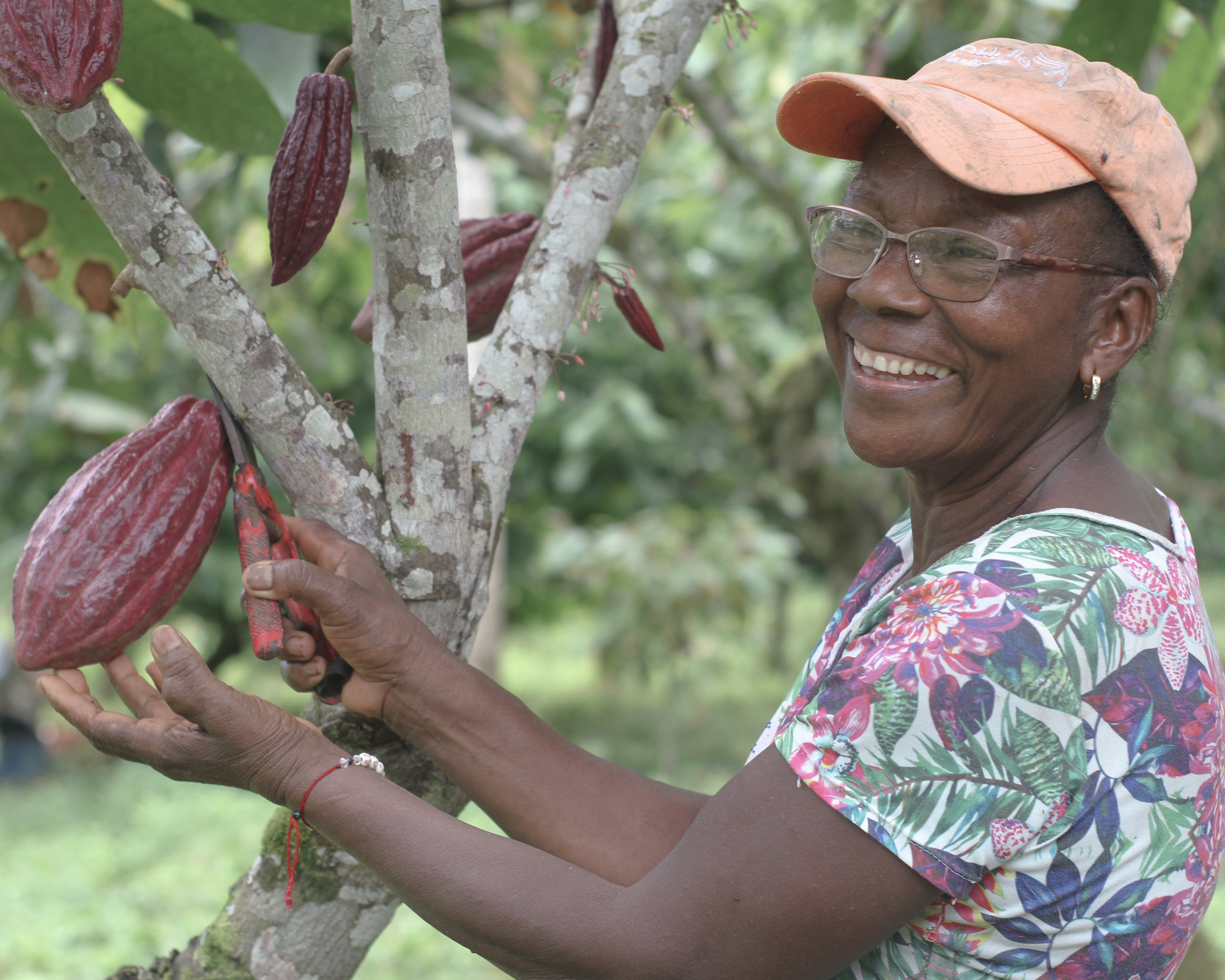 Comunidades afro del Pacífico protegen el bosque y cultivan cacao como apuesta de paz