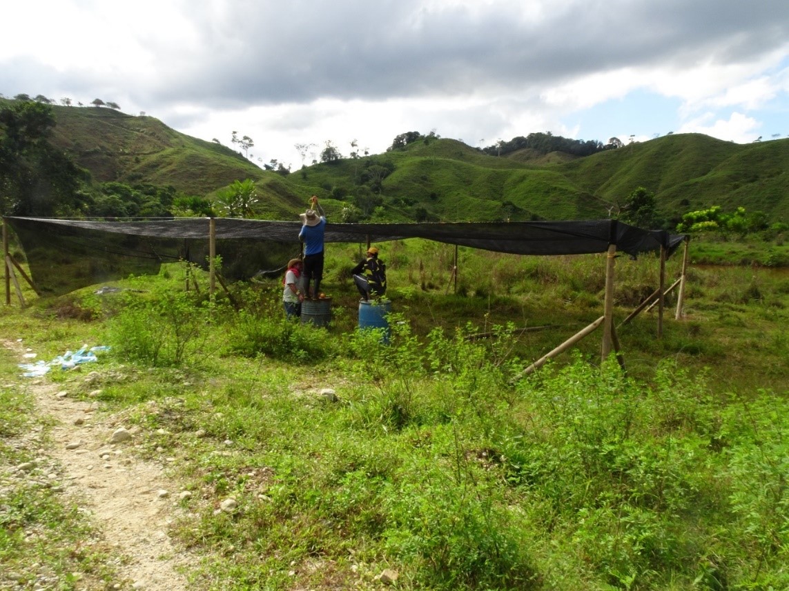 Campesinos protegen la Reserva Natural Bajo Cauca-Nechí y su área de influencia