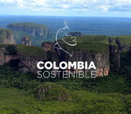 Tercera entrega de preguntas y respuestas sobre nuestra convocatoria de proyectos estructurados para Caquetá, Nariño y Putumayo