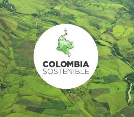 Se acerca el cierre de la convocatoria de perfiles de proyectos dirigida a los 170 municipios PDET
