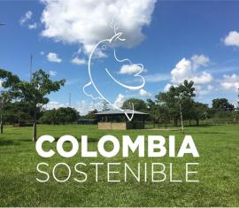 Buscamos firma estructuradora de proyectos para municipios PDET