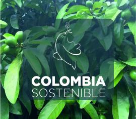 Avances del Programa Colombia Sostenible - Parte 2