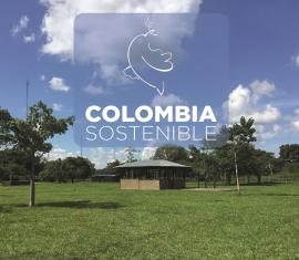 Avances del Programa Colombia Sostenible - Parte 1
