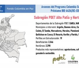 Avanza la estructuración de 19 proyectos en la subregión PDET Alto Patía y Norte del Cauca