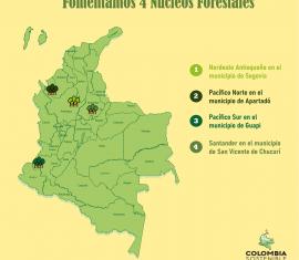 Trabajamos en la consolidación de cuatro núcleos forestales en el país