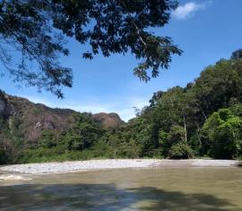 Restauración Ecológica, la apuesta del Fondo Colombia Sostenible en cuatro municipios del Meta dentro del PNN Sierra de La Macarena