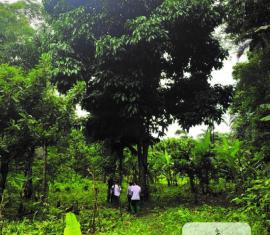  La apuesta del Fondo Colombia Sostenible para promover la protección del medio ambiente
