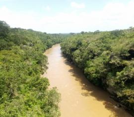 En el día mundial del medio ambiente, el Fondo Colombia Sostenible presenta sus aportes a la conservación de la biodiversidad