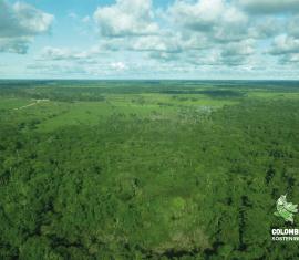 Colombia redujo en 19,2 por ciento su cifra anual de deforestación en 2019 