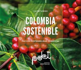 Financiaremos la siembra y sostenimiento de 100 hectáreas de café en el Catatumbo