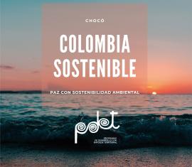 Más de 500 familias de dos consejos comunitarios trabajarán por la conservación ambiental en el Pacífico
