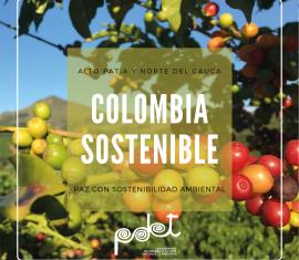 16.323 millones de pesos invierte Colombia Sostenible en 18 proyectos en el Alto Patía y Norte del Cauca