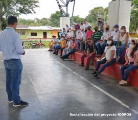 Conozca el modelo de pastoreo racional que apoya Colombia Sostenible en Caquetá