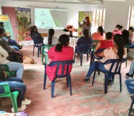 Café sostenible, la apuesta del pueblo indígena pijao en el PDET Sur del Tolima