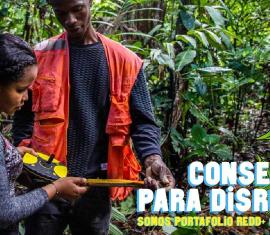 Conoce los logros del Portafolio REDD+ Comunitario en el Pacífico colombiano
