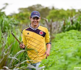 PIRPAG: el camino de Colombia hacia una Ganadería Sostenible