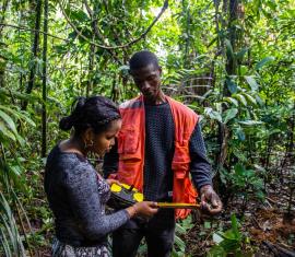 El Portafolio REDD+ Comunitario en el Pacífico evitó más de 7 millones de toneladas de carbono 