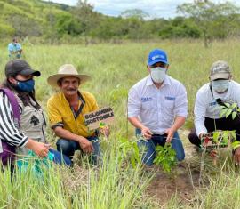 Iniciamos la siembra de 38.000 árboles en Tame, Arauca