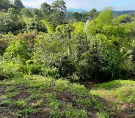 Se invierten más de $1.100 millones en la producción de café en Cajibío, Cauca