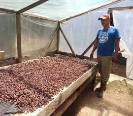 Beneficiarios del Programa Colombia Sostenible adscrito al Fondo Colombia en Paz son finalistas en el concurso Cacao de Oro de Caquetá 2021