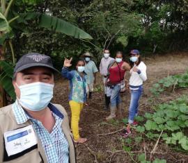 Aprueban cerca de 75 mil millones de pesos para implementar proyectos productivos sostenibles en municipios PDET