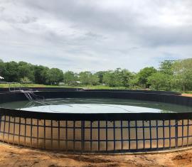 Implementan una granja piscícola en cuatro municipios PDET de Antioquia