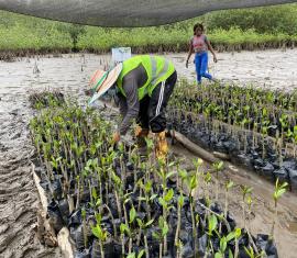 Aprueban $90 mil millones para proyectos ambientales y productivos en municipios PDET