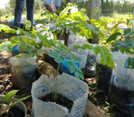 Indígenas Zenú implementan buenas prácticas ambientales para reducir los impactos de su Ruta Etnoecoturística