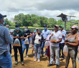 La granja piscícola de Asoagrollana es una realidad en el Bajo Cauca