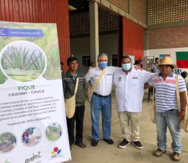 Ají, mora y fique, nuestra apuesta productiva en el norte del Cauca