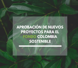 Proyectos FCS 2022