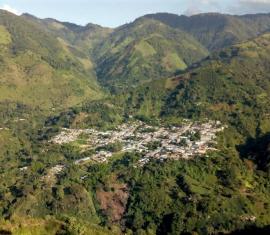 De sufrir la violencia a producir café especial: así construyen paz con enfoque ambiental en el sur del Tolima