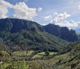 Se firma nuevo convenio de lucha contra la deforestación