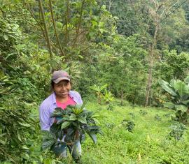 Café: una apuesta ambiental y productiva en Florida, Valle del Cauca
