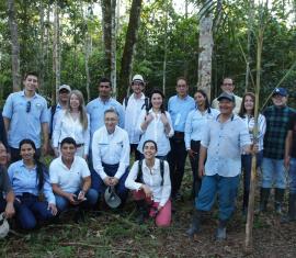 Açaí, una apuesta productiva y sostenible en Putumayo