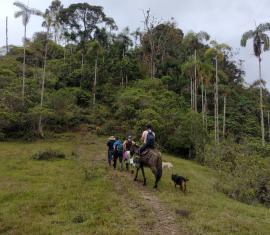 En Chaparral, familias campesinas implementan un esquema PSA para la conservación del páramo y el bosque alto andino