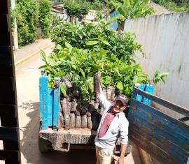 El cacao de La Paz, la alternativa económica de 87 familias campesinas en el Cesar
