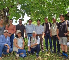 En el sur del Meta cultivan cacao implementando prácticas ambientalmente sostenibles