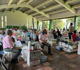 Campesinos del Valle del Cauca reciben equipos para optimizar su producción de plátano y banano
