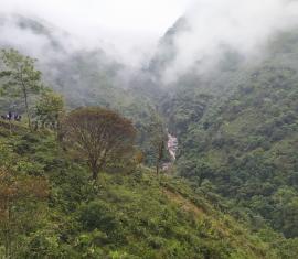 Indígenas Nasa deciden ser los guardianes del Bosque Andino en el Cauca