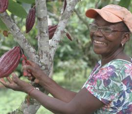 Comunidades afro del Pacífico protegen el bosque y cultivan cacao como apuesta de paz