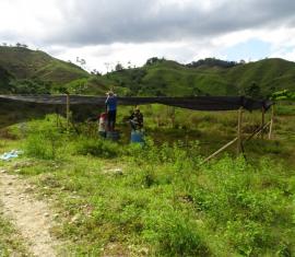 Campesinos protegen la Reserva Natural Bajo Cauca-Nechí y su área de influencia