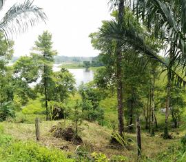 Comunidades rurales protegen más de 23 mil hectáreas de bosques estratégicos con apoyo del Programa Colombia Sostenible