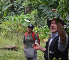 Acuerdos de Conservación comunitarios una estrategia para la restauración del Parque Nacional Natural (PNN) Sierra de la Macarena